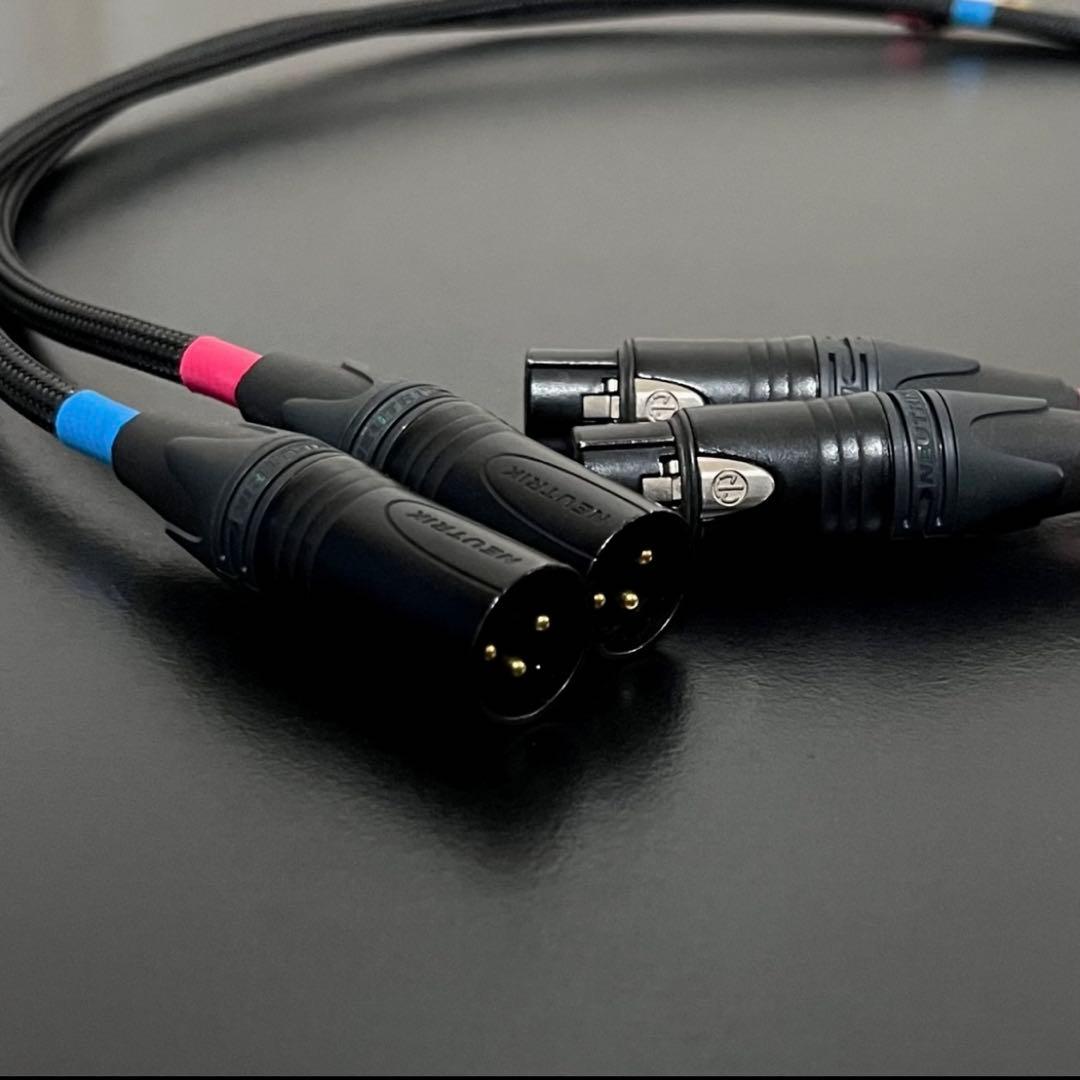 ケーブル・シールド ACOUSTIC REVIVE LINE-1.0X TripleC-FM 1m