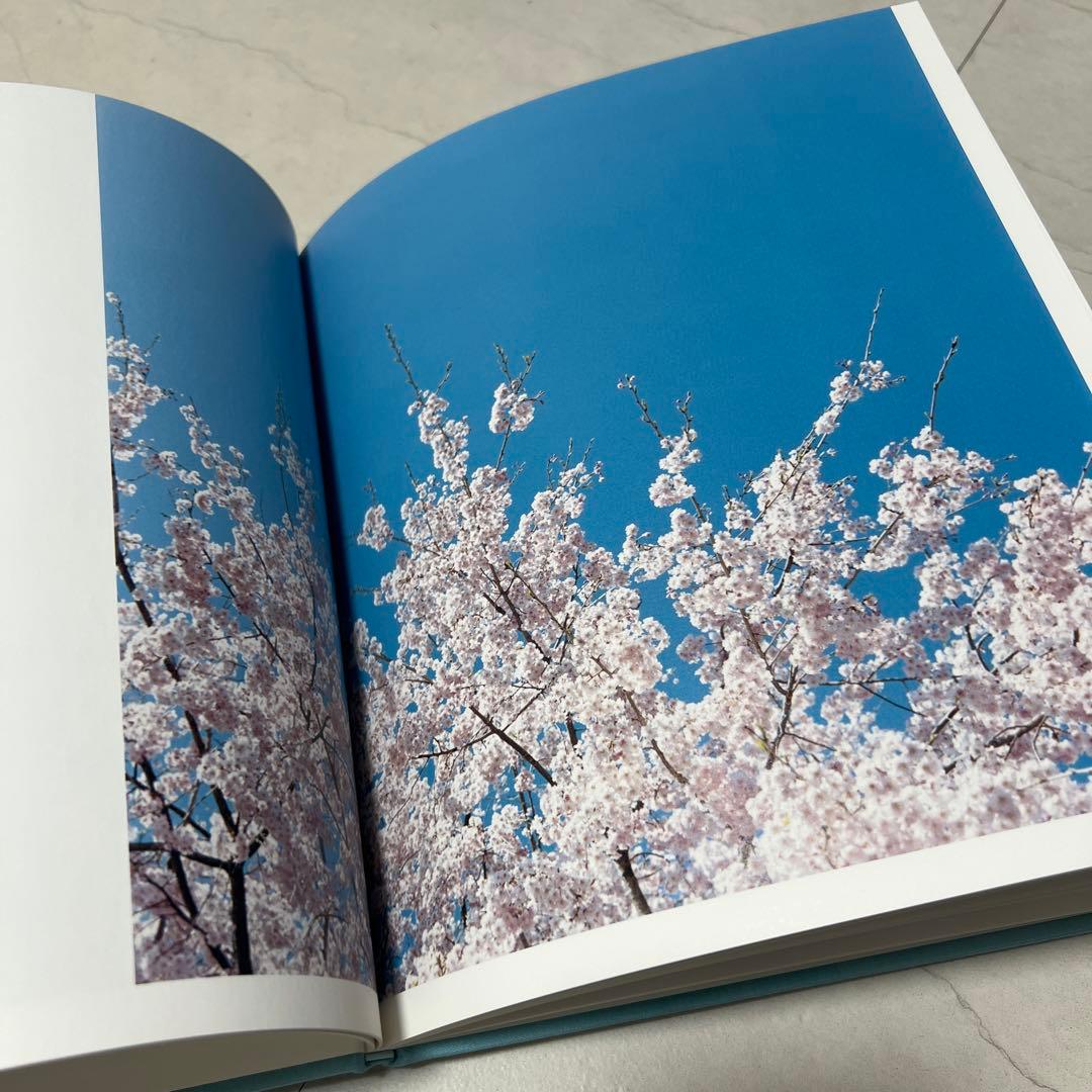 HYSTERIC EIGHT by Risaku Suzuki 鈴木理策