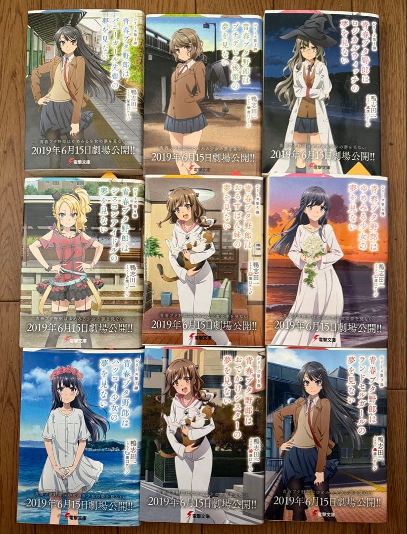 電撃文庫 鴨志田一 青春ブタ野郎シリーズ全巻ドラマCD付き