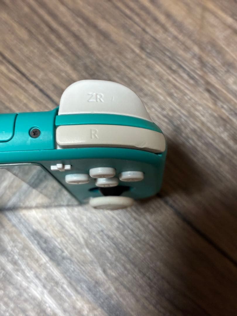 ニンテンドー スイッチ ライト Nintendo Switch Light