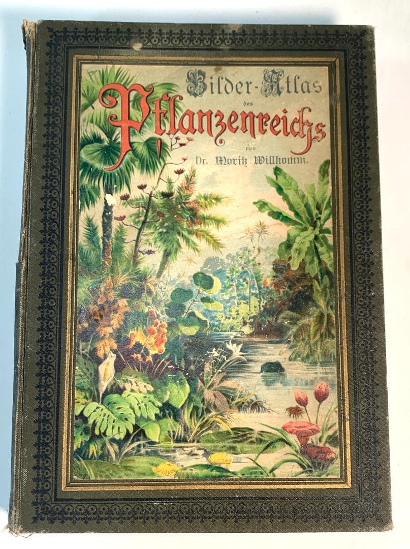 Bilder-Atlas des Pflanzenreichs植物界絵図アトラス