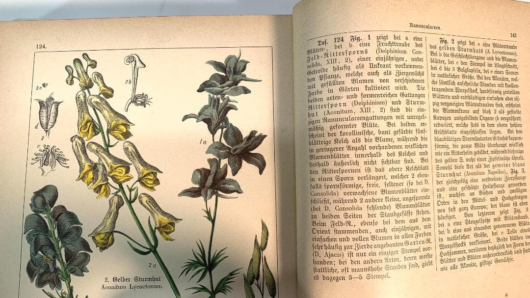 Bilder-Atlas des Pflanzenreichs植物界絵図アトラス