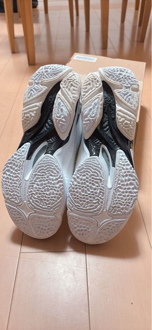 サボさん専用　Mizuno バレーボールシューズ 24.5センチ　3E