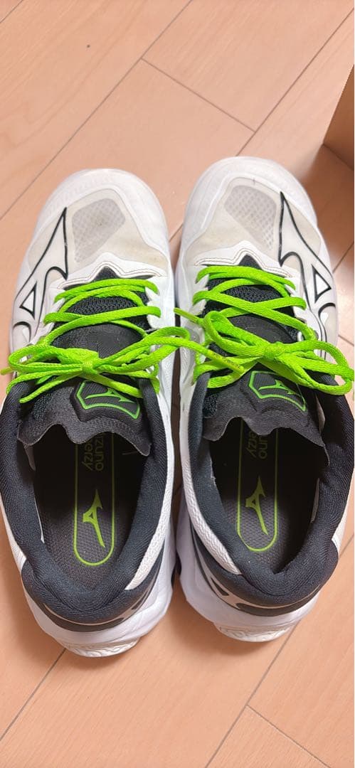 サボさん専用　Mizuno バレーボールシューズ 24.5センチ　3E