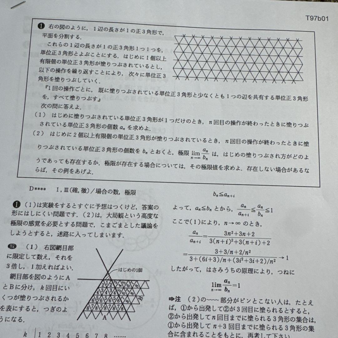 難関国公立有名大学　医学部受験　数学問題集 約100ページ 以上日本語