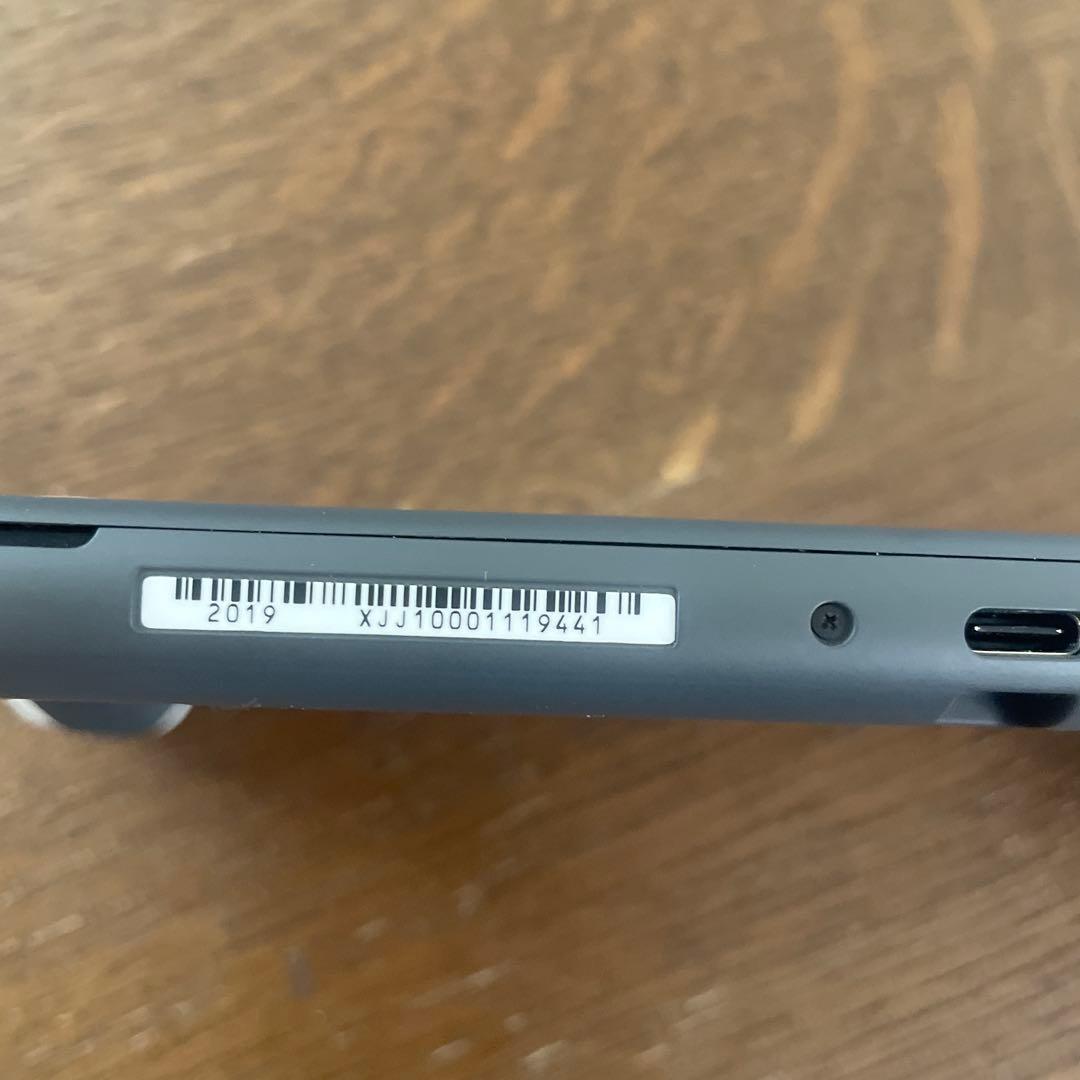 Nintendo Switch Lite グレー　充電器付き