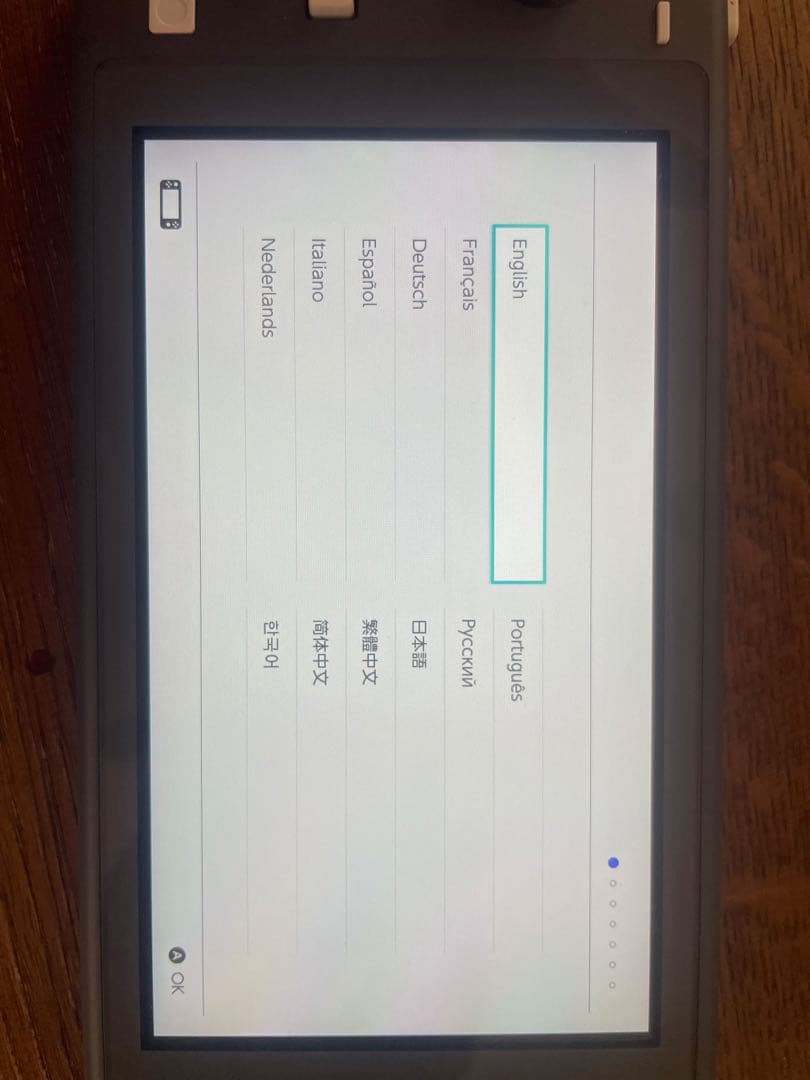 Nintendo Switch Lite グレー　充電器付き