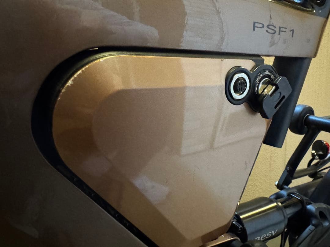 BESV 折りたたみ電動アシスト自転車 20インチ 黒/茶色