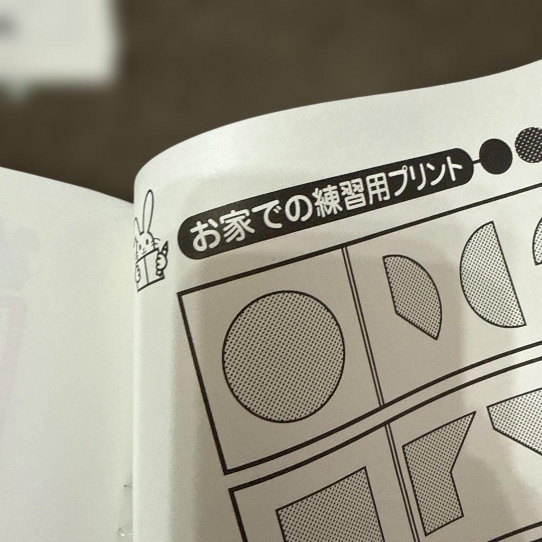 洛南高附属小学校対策 奨学社 ペーパーまとめ 年長 まとめ売り　4ヶ月とおまけ