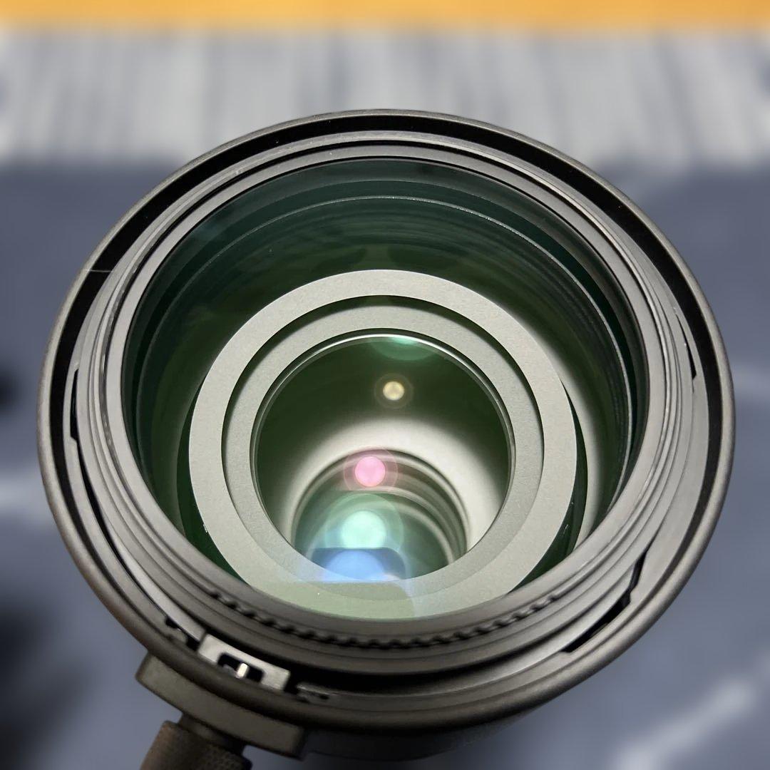 SIGMA 150-600mm F5-6.3 DG DN OS ソニーEマウント