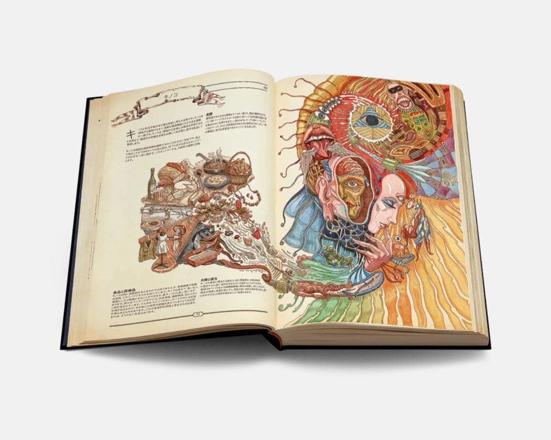 The Book 繊細で美しい絵を満載した大人の図鑑 未開封 日本語版