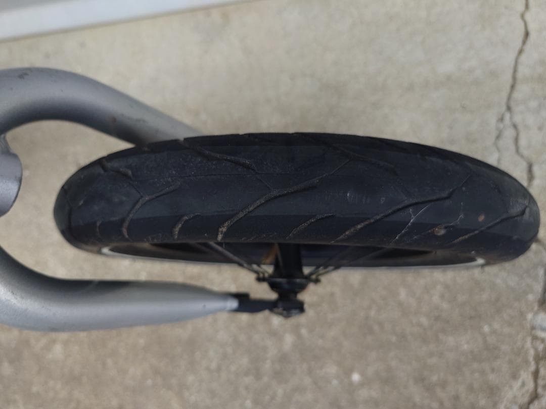 STRIDER PRO カスタム レース