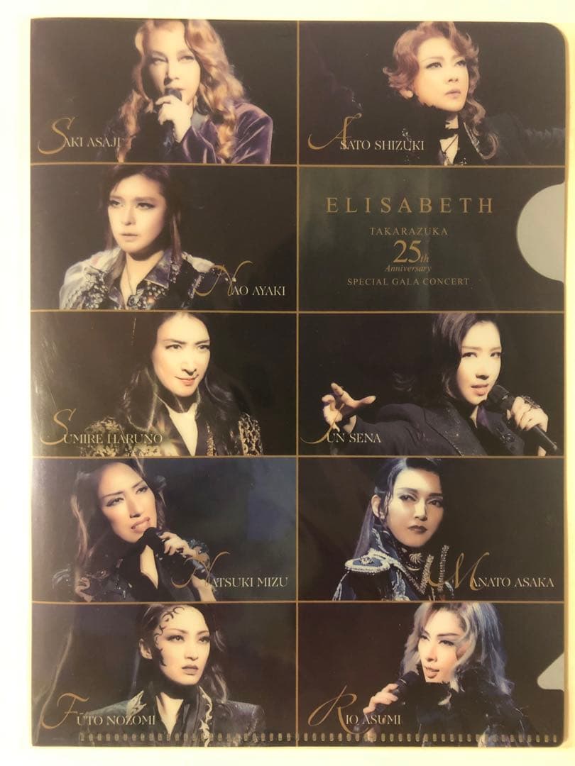 エリザベート　宝塚　スペシャル・ガラ　DVD 初回限定盤　明日海りお　望海風斗