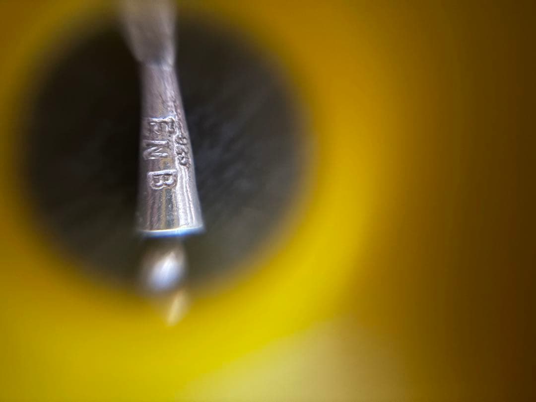 エリッカニコラスビゲイ　ナバホパール