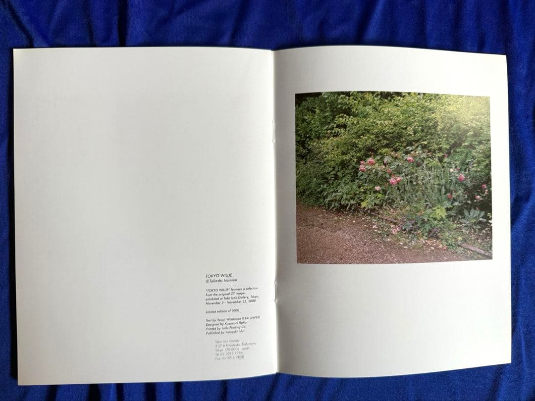 TOKYO WILLIE ホンマタカシ