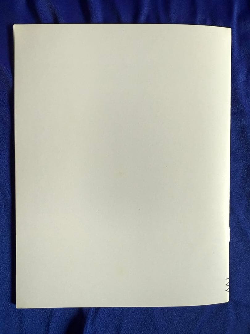 TOKYO WILLIE ホンマタカシ