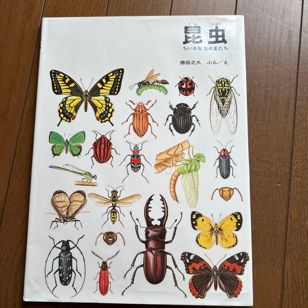 福音館のかがくのほん10冊セット