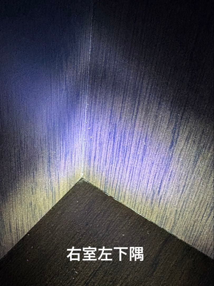 【2月半ばまで】ダークブラウン衣類収納 ミラー付き