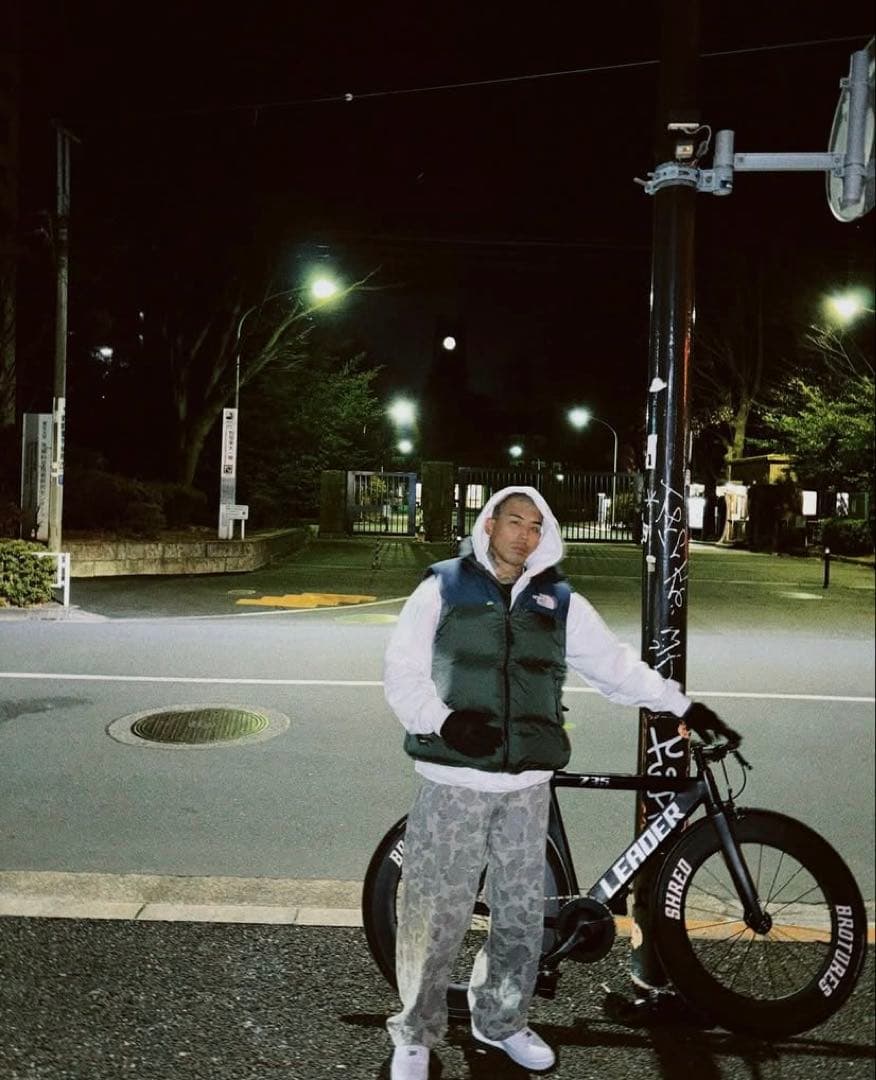 ザ ノースフェイス ヌプシダウンベスト US限定