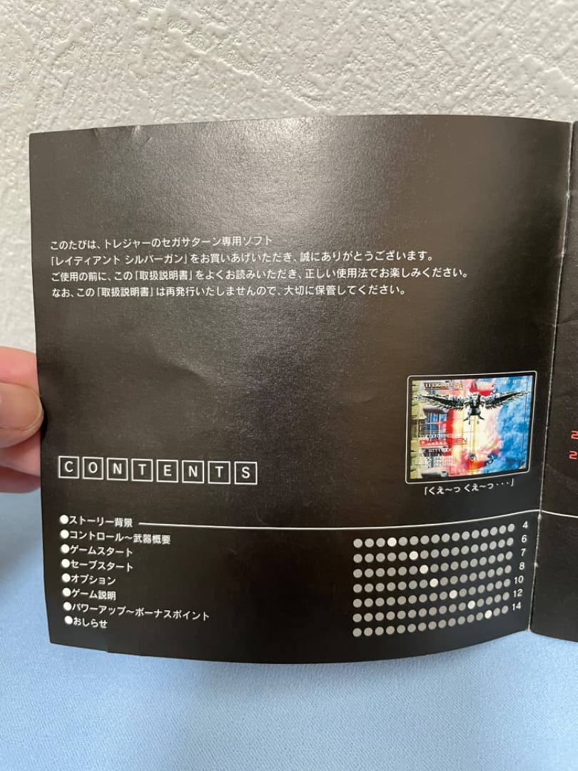 レイディアントシルバーガン(Radiant SilverGun)