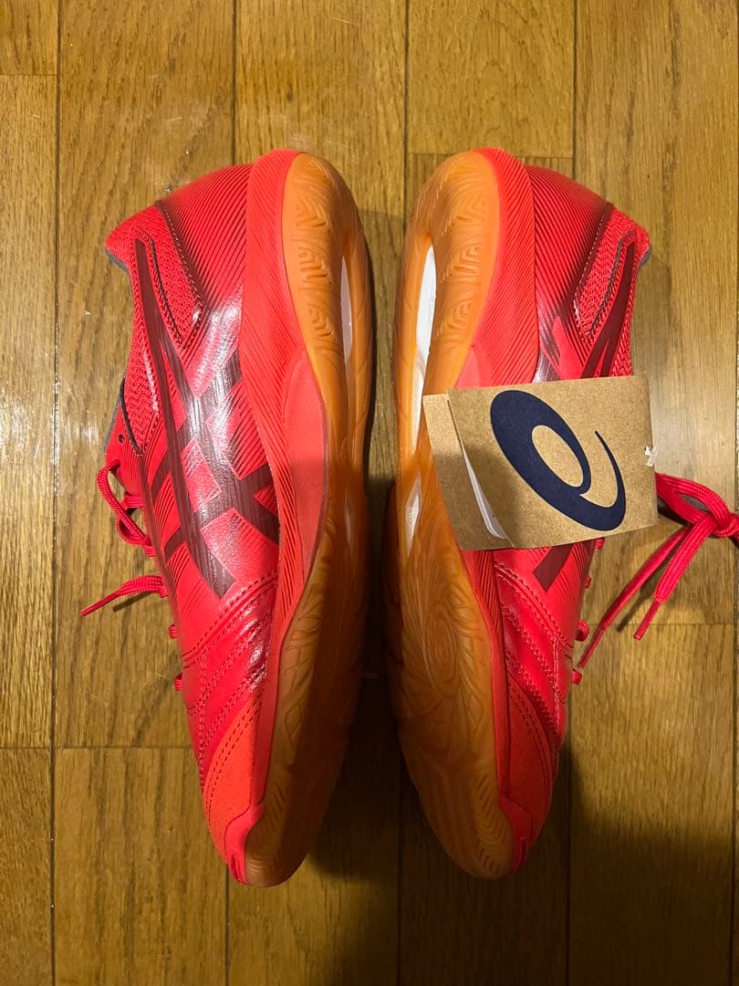 フットサルシューズ　アシックス　デスタッキ　 インドア　25cm