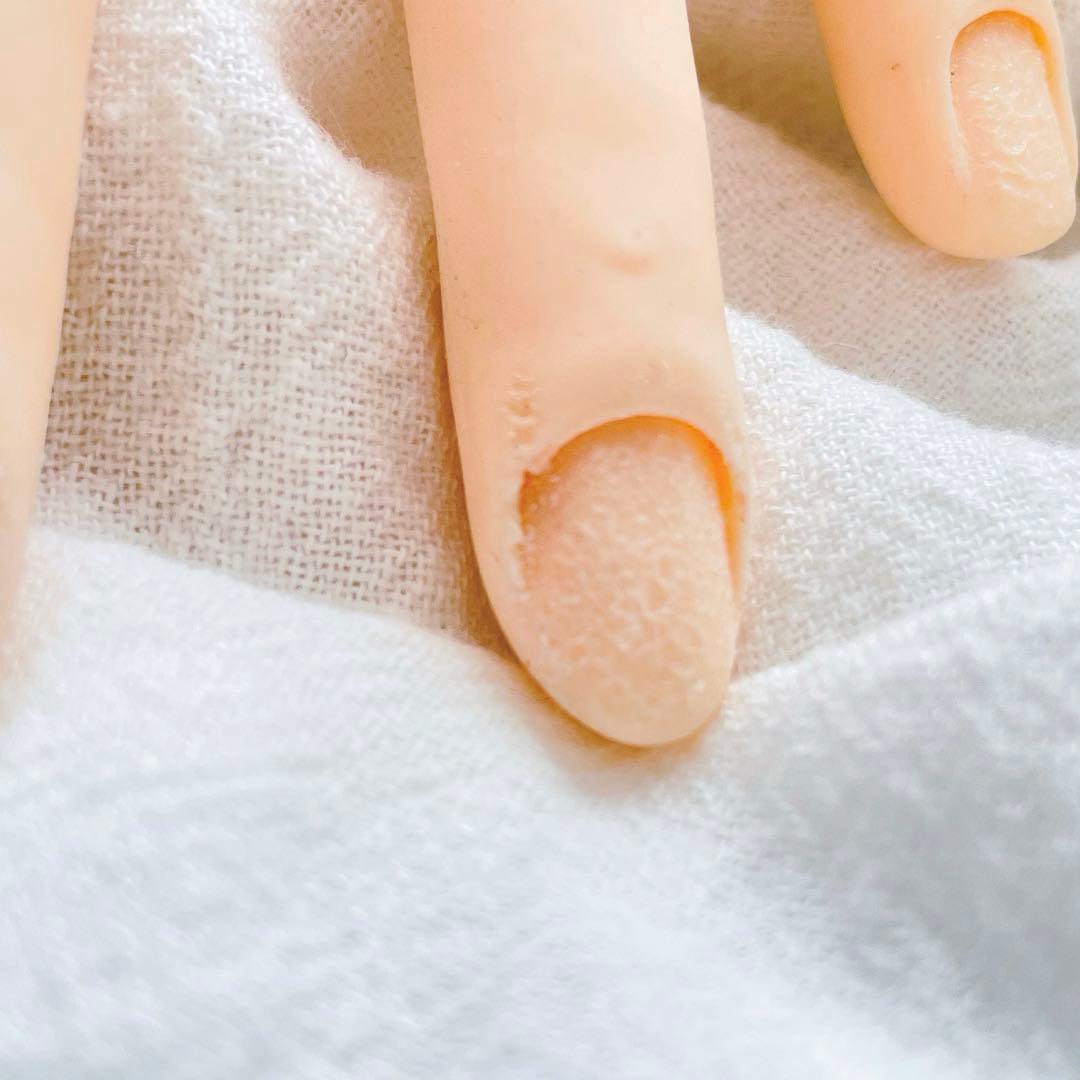 JNEC認定ハンドモデル