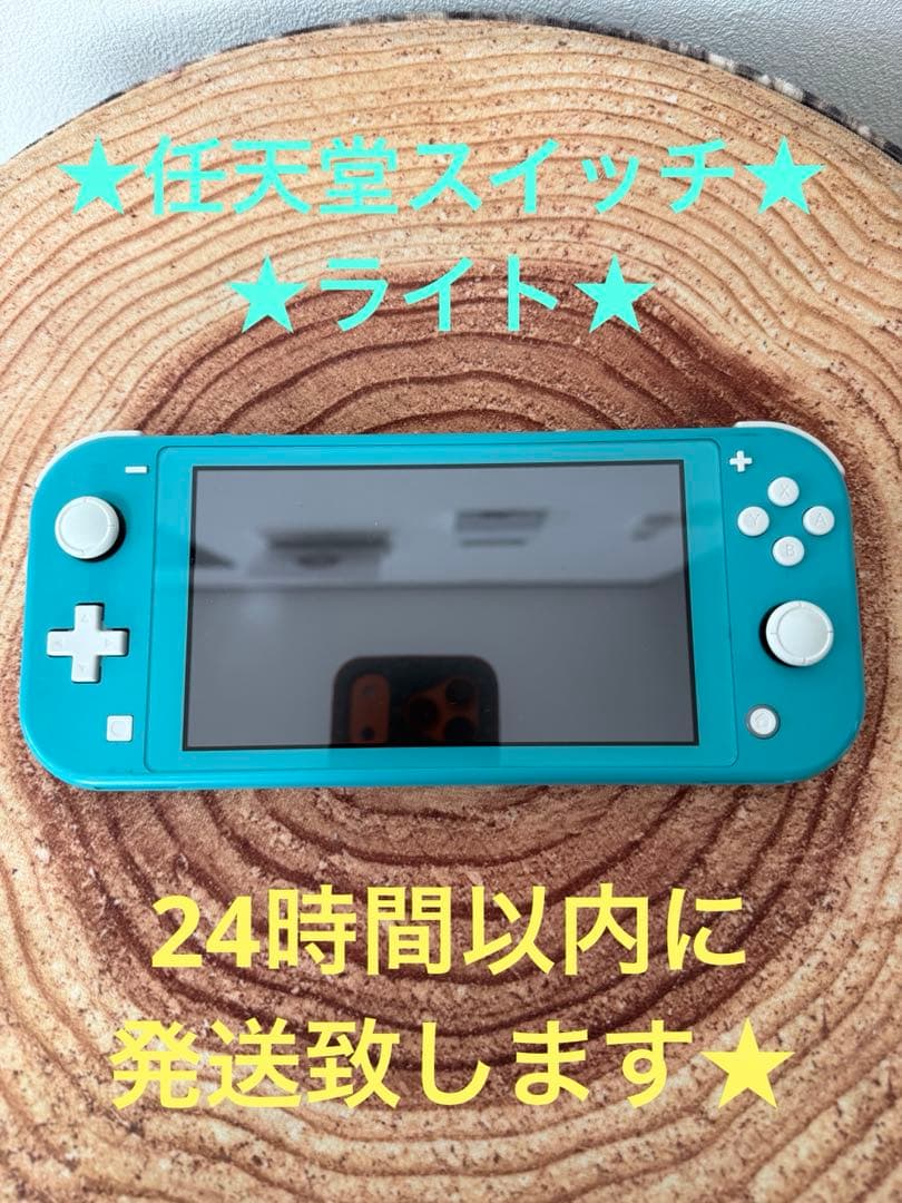 Nintendo Switch Lite ターコイズ　本体のみ　箱無し