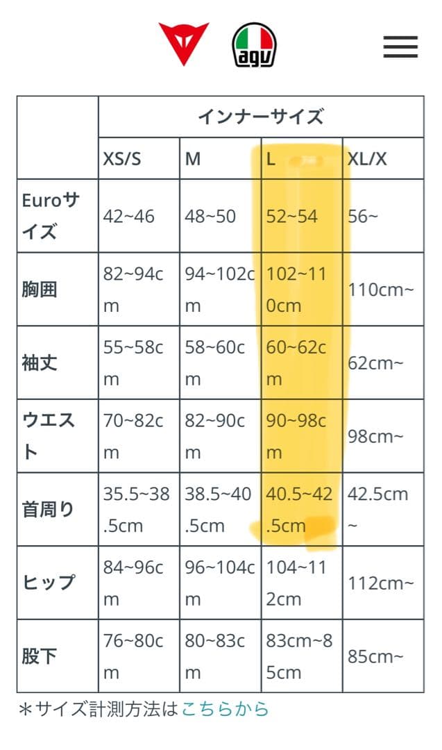 ダイネーゼ D-CORE THERMO TEE LS インナー Lサイズ