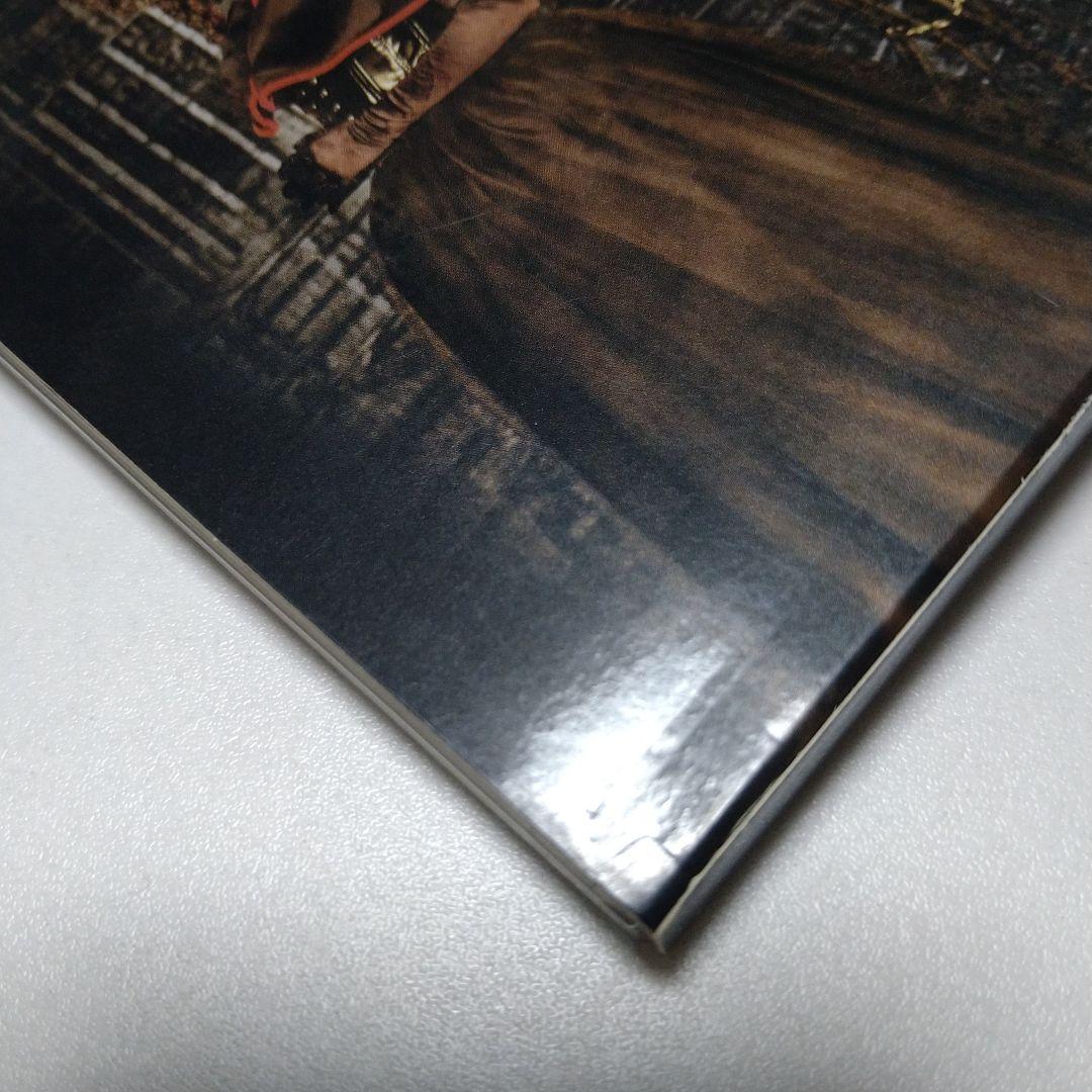 邦楽 Schwarz Stein Artificial Hallucination