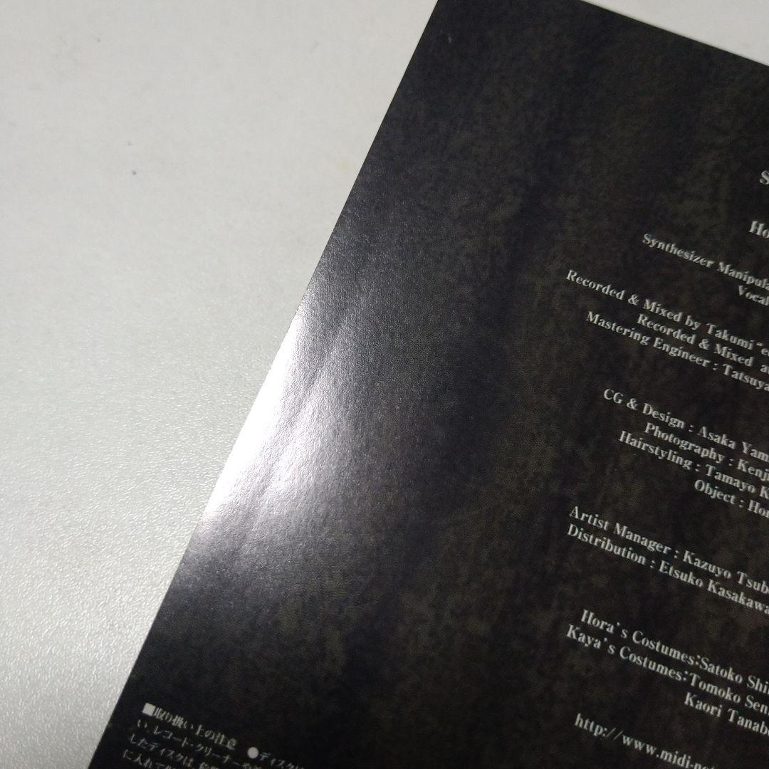 邦楽 Schwarz Stein Artificial Hallucination