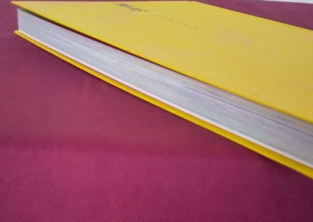 夢覘 = YUMENOZOKI : 佐伯俊男画集