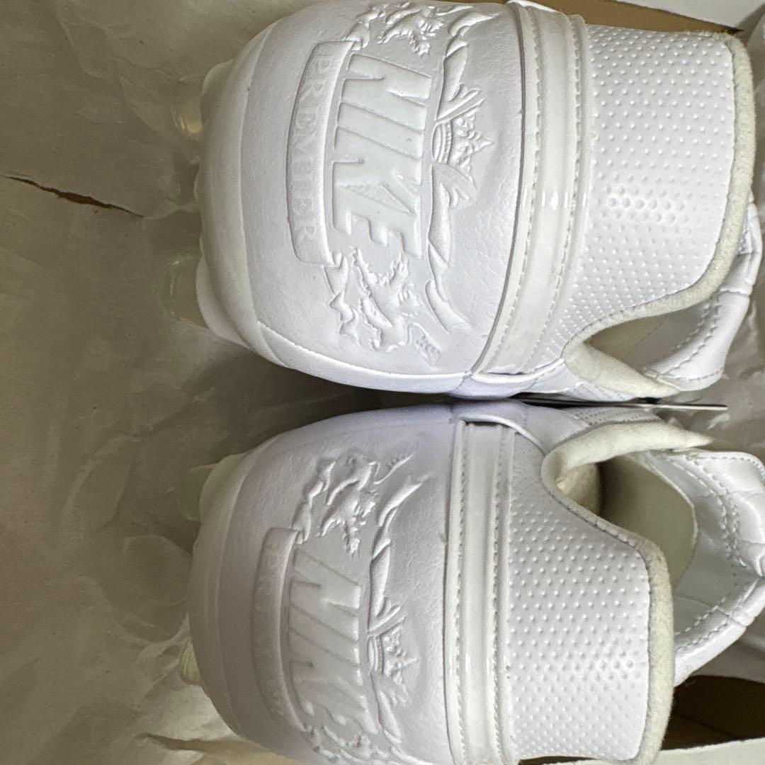 ナイキ プレミア3 限定カラー 26.5