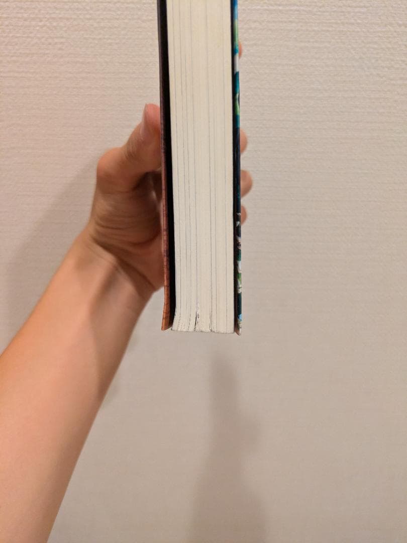 無職転生　異世界行ったら本気出す　19巻〜26巻