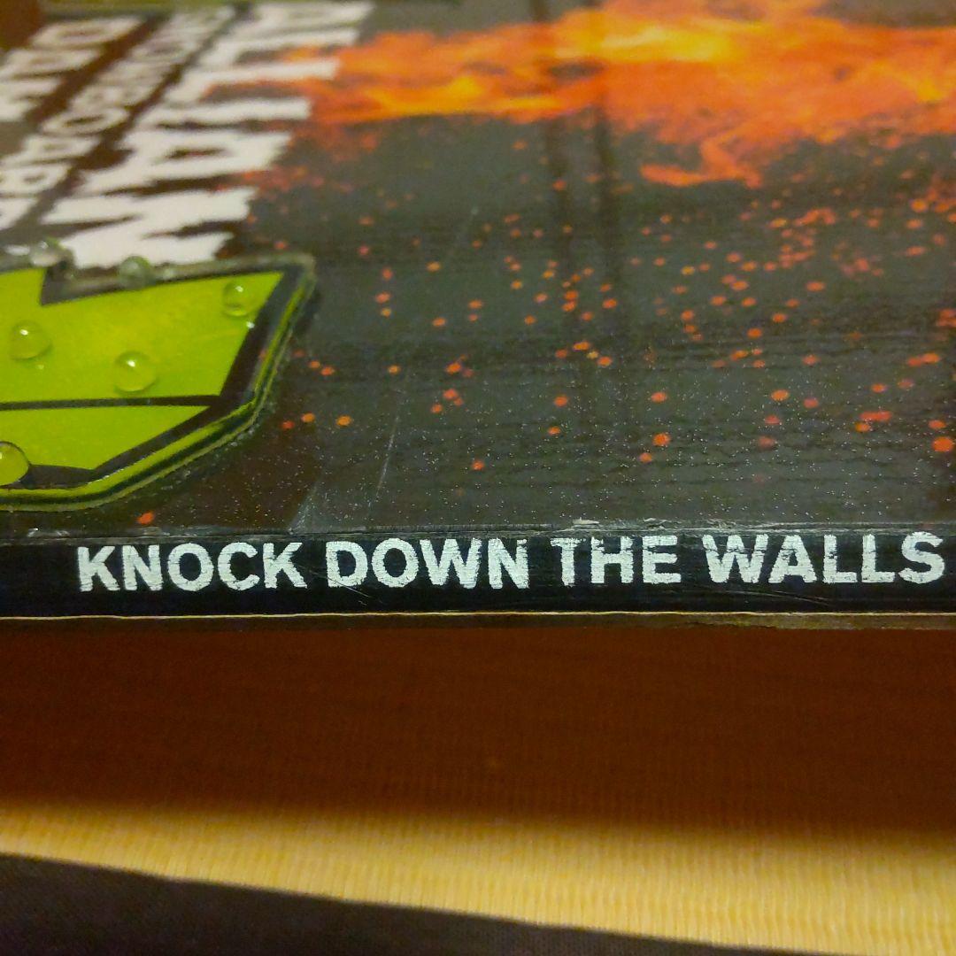 ALLIAN 　DAMAGE 150cm　デッキパッド付き　20-21　モデル