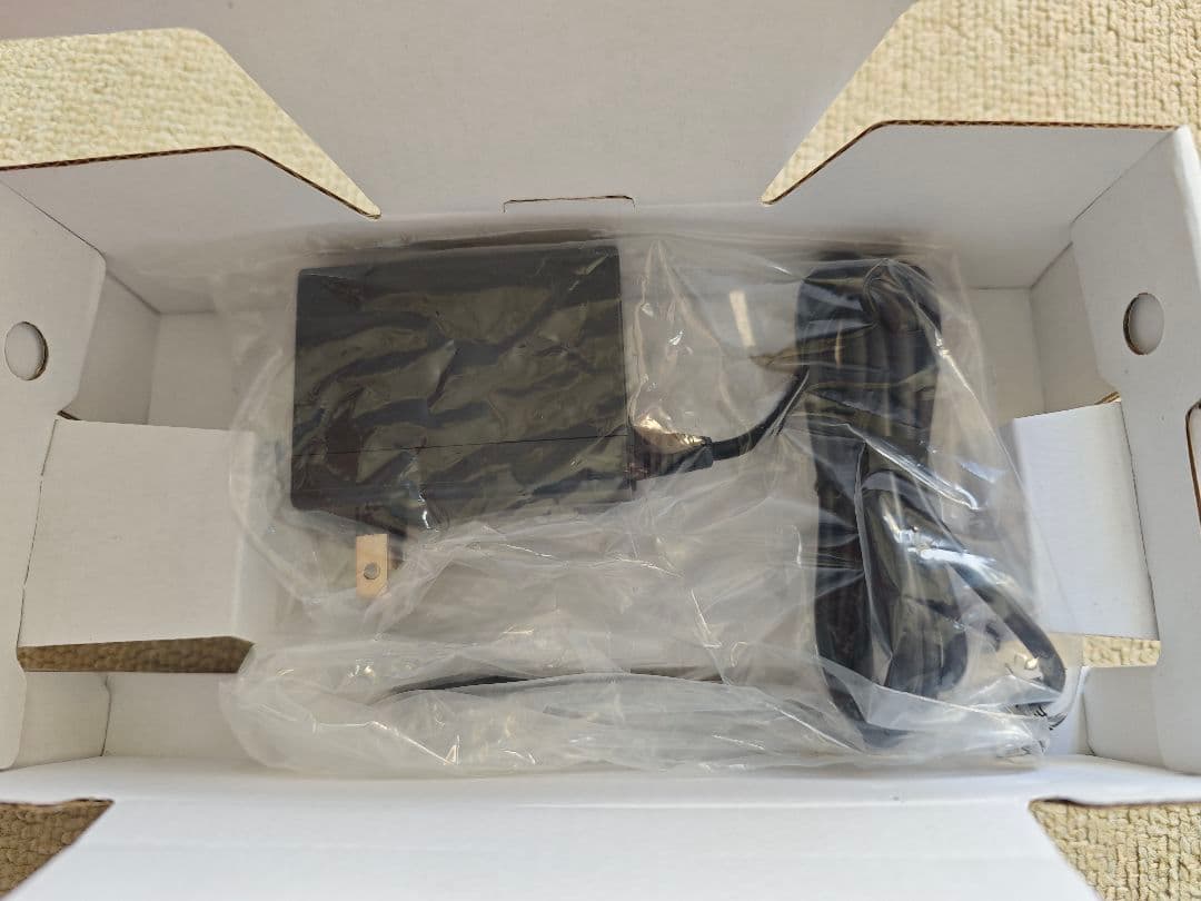 Nintendo Switch Lite コーラル ニンテンドースイッチライト