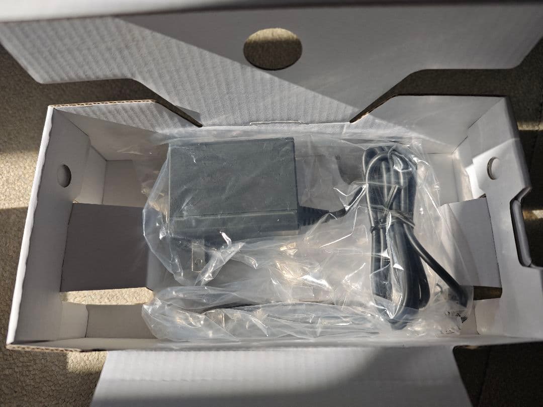 Nintendo Switch Lite コーラル ニンテンドースイッチライト