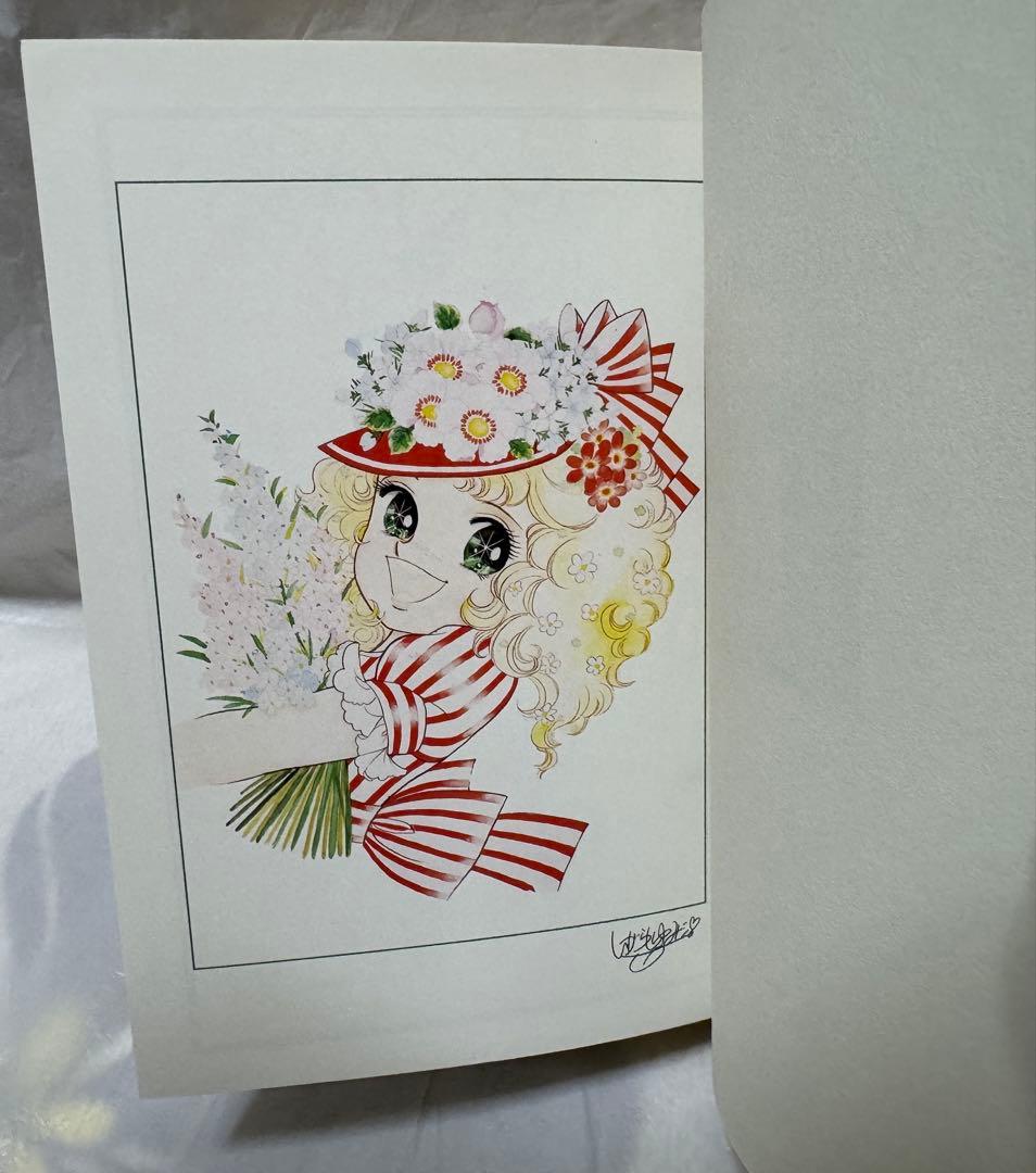 Candy Candy 特装版セット 全5巻 いがらしゆみこ