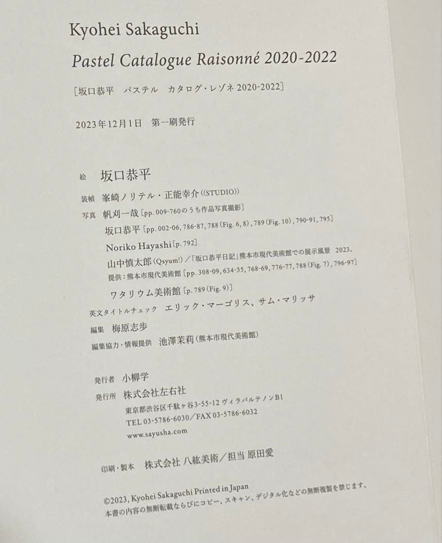 坂口恭平　カタログ レゾネ　pastel 　パステル画