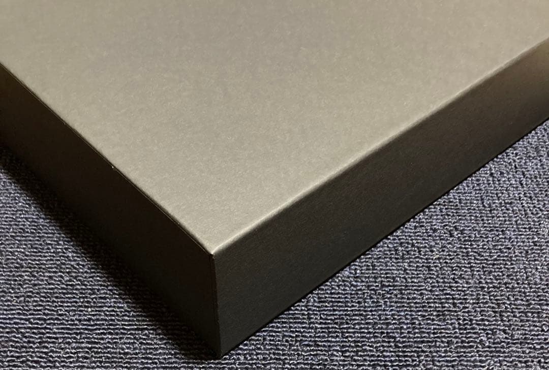 坂口恭平　カタログ レゾネ　pastel 　パステル画