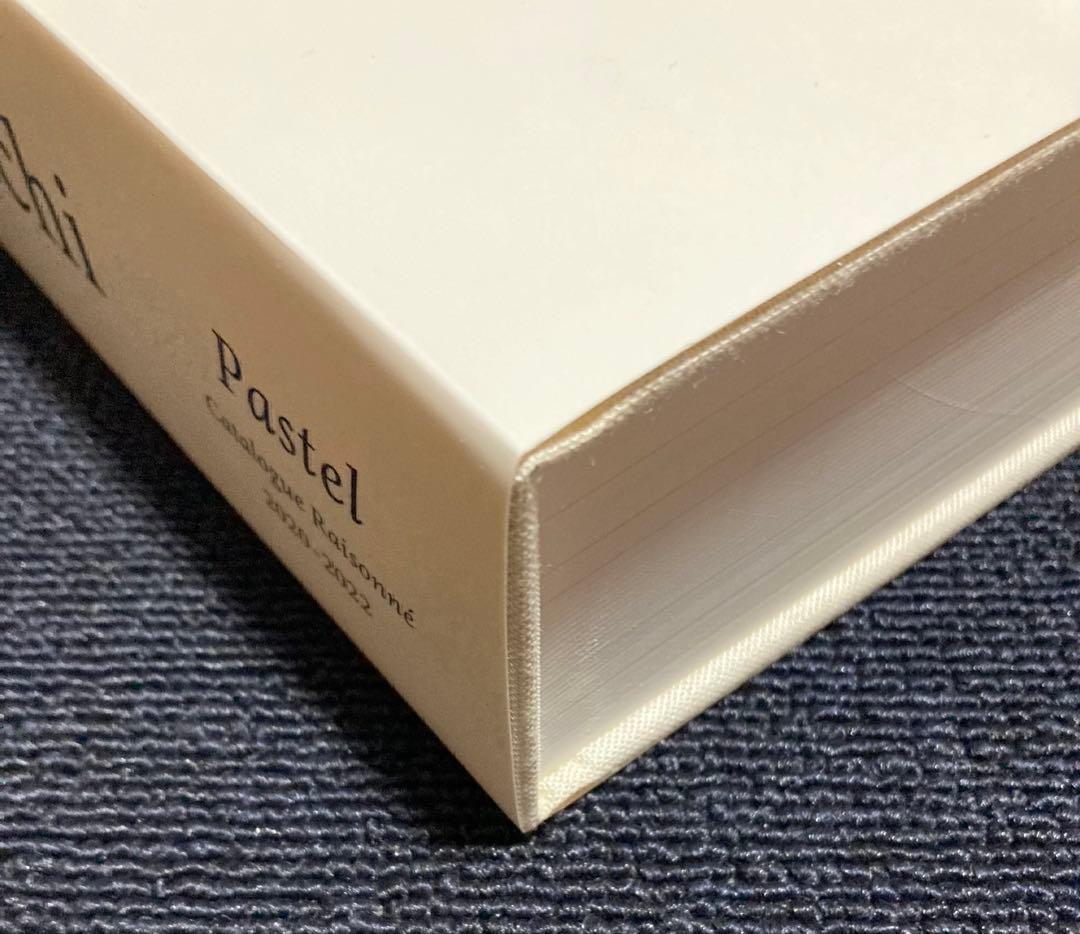 坂口恭平　カタログ レゾネ　pastel 　パステル画