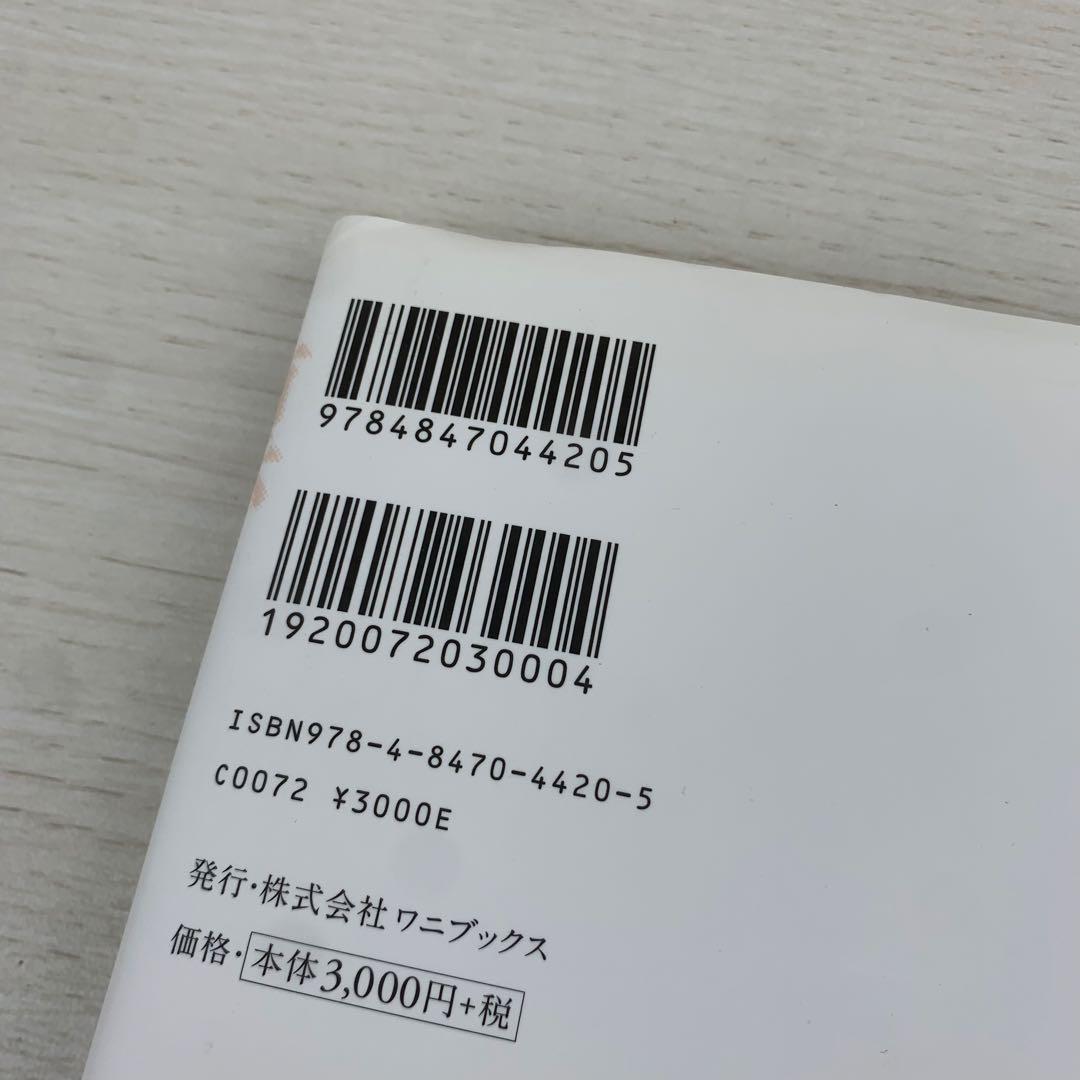 凛 村井美樹写真集 初版 帯付き DVD付き