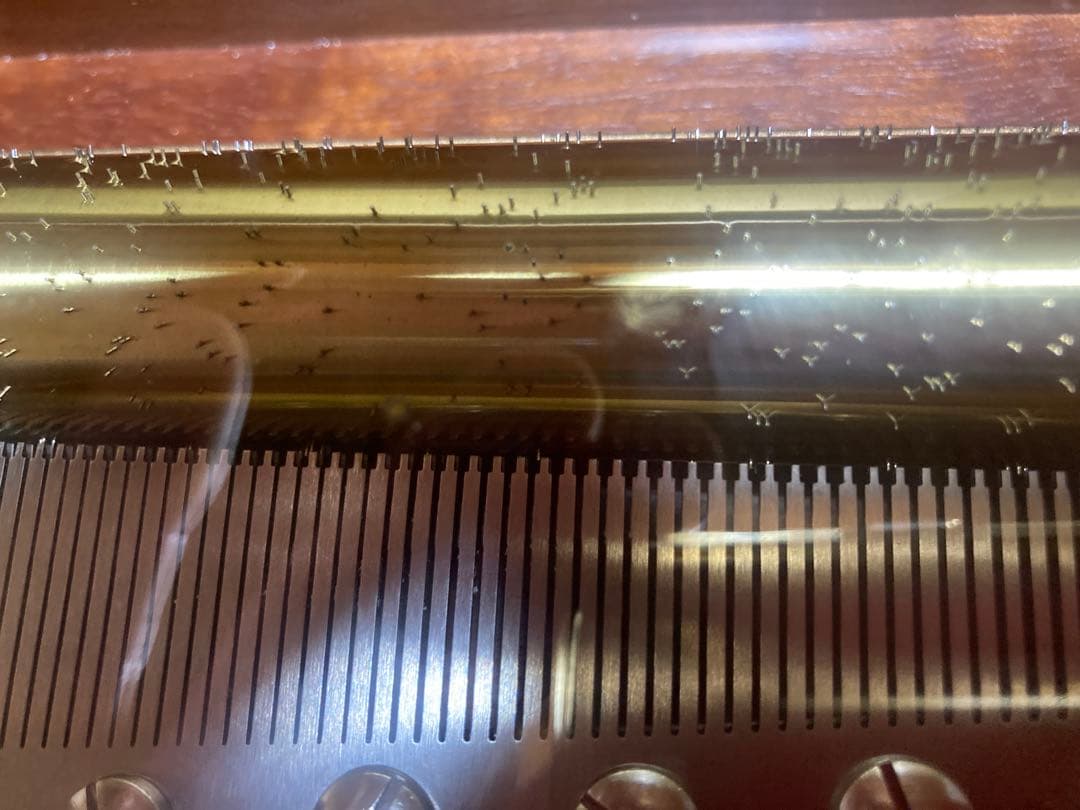 オルフェウス 72弁 オルゴール カノン EX-354-K-0055 共鳴箱付き