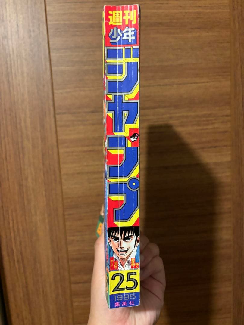 週刊少年ジャンプ　1995年25号　ドラゴンボール最終回掲載号
