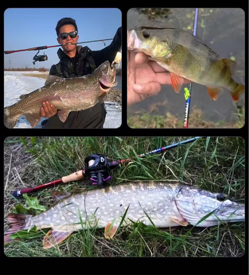 新品未使用　バスロッド　2ピースロッド　S662L スピニングロッド　バス釣り