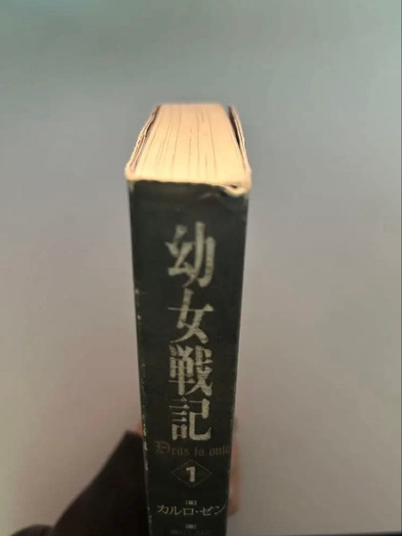 幼女戦記 19巻セット+α