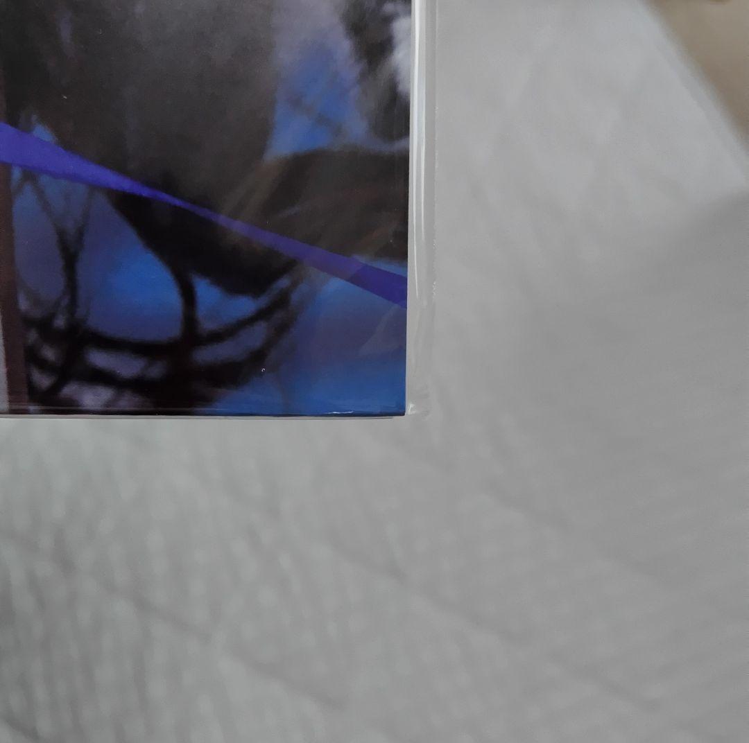 【新品未開封】 アナログレコード 安室奈美恵 会場限定 Hero LP