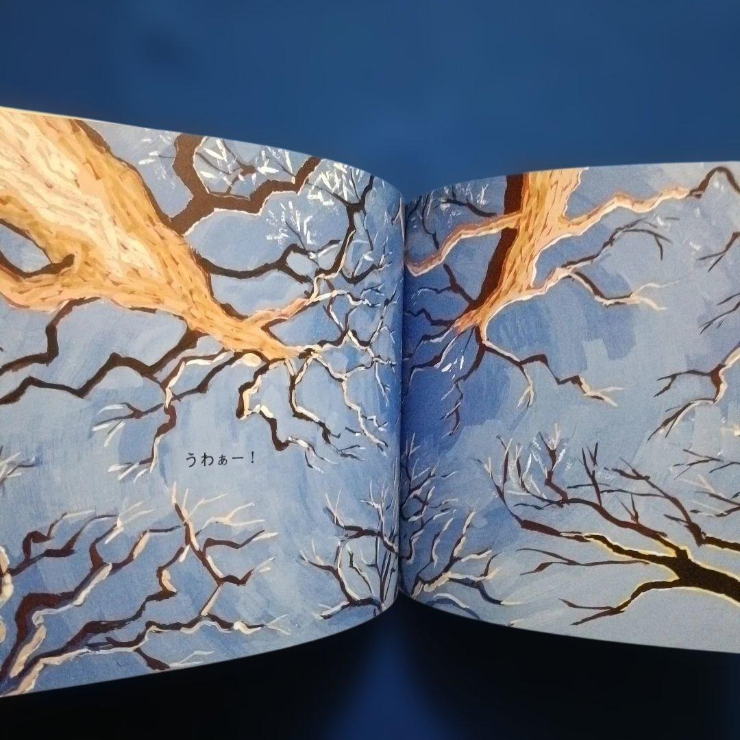 ちいさなかがくのとも　12月の風景　おちば　ゆき　草の実　福音館