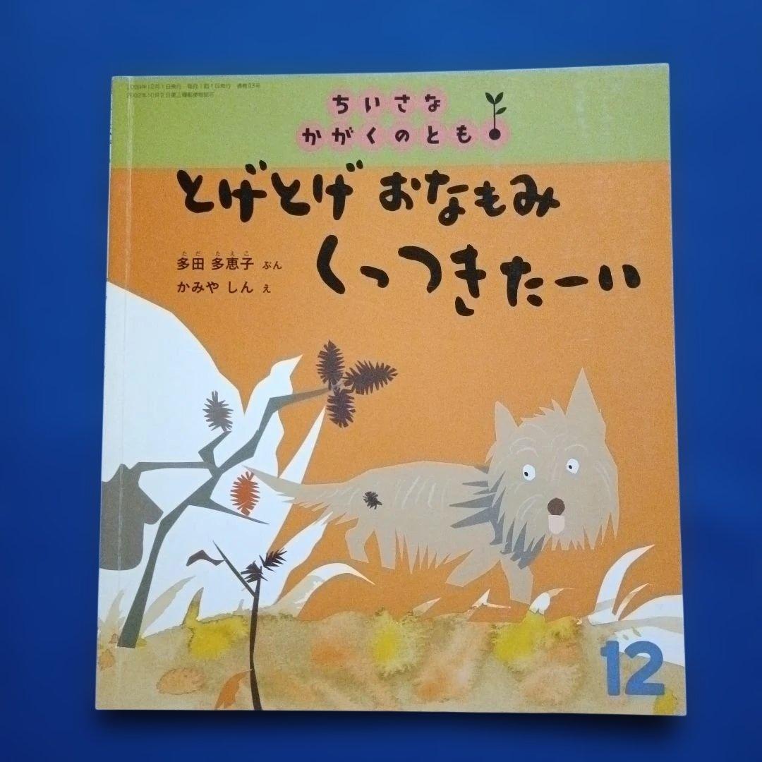 ちいさなかがくのとも　12月の風景　おちば　ゆき　草の実　福音館