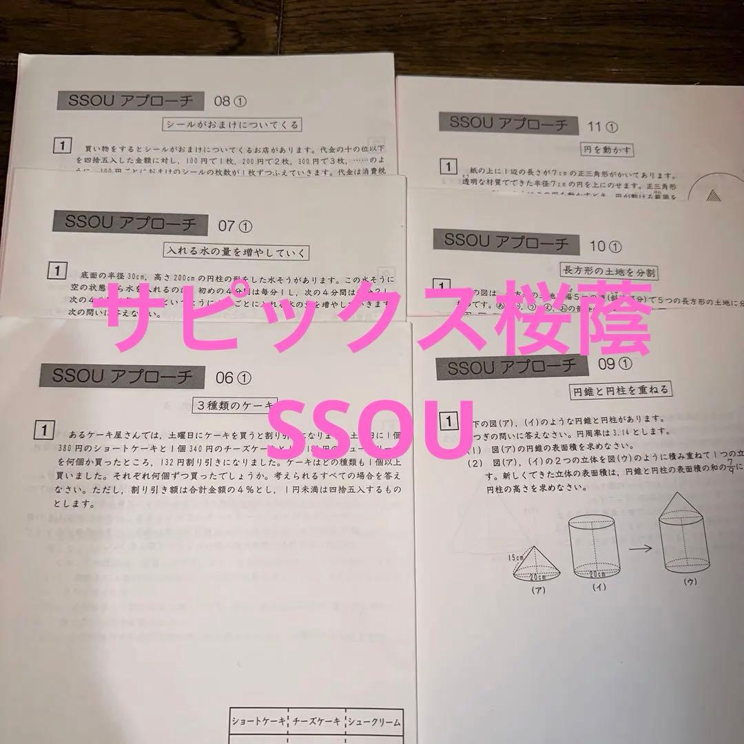 桜蔭対策サピックスSSOUアプローチ06-11 36枚のテスト各6ページ✖️6回