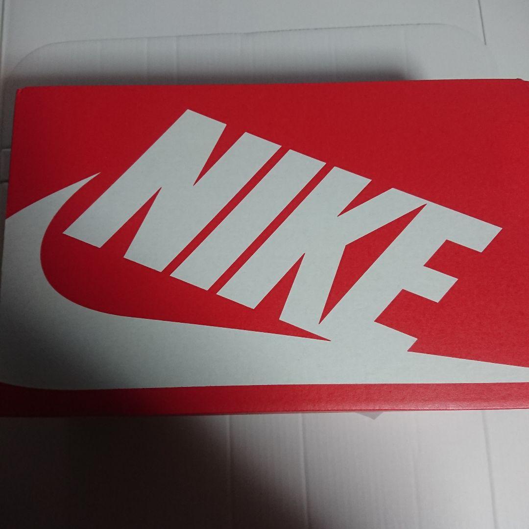 Nike Women's Air Max Phenomena 25㎝